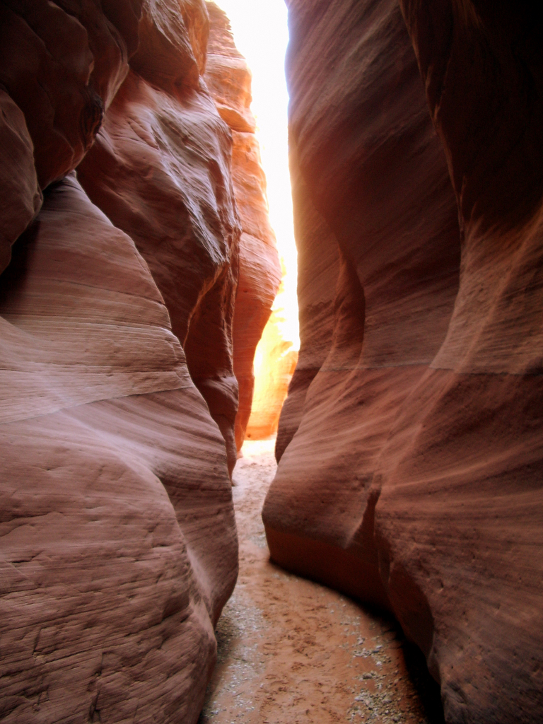Gulch_Canyon